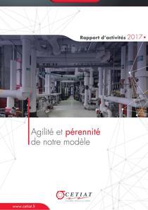 rapport_activite_2017